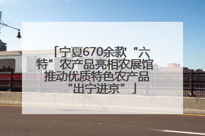 宁夏670余款“六特”农产品亮相农展馆 推动优质特色农产品“出宁进京”